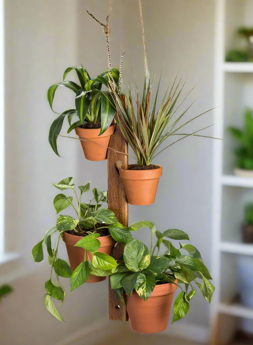 Home Décor