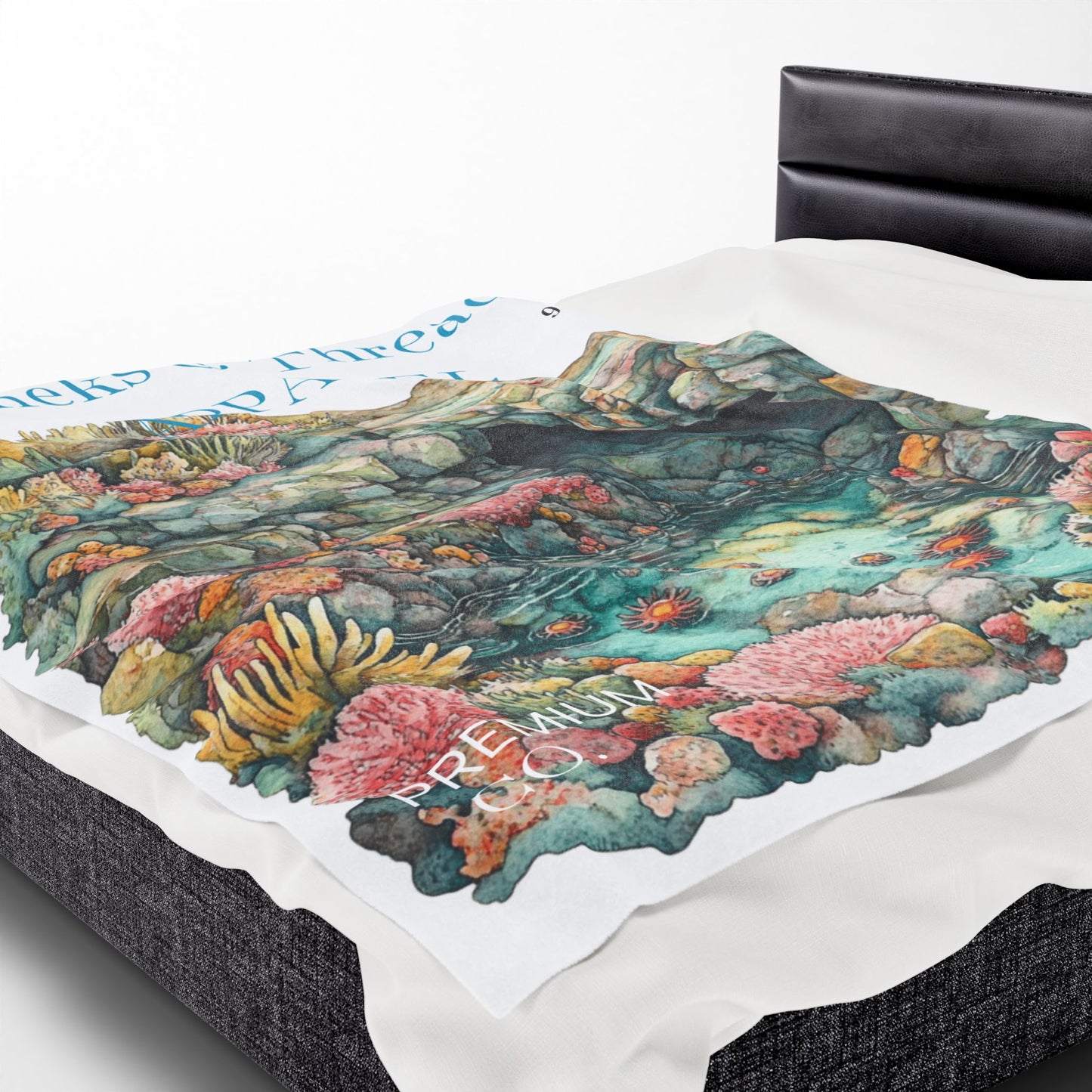 Velveteen Plush Blanket