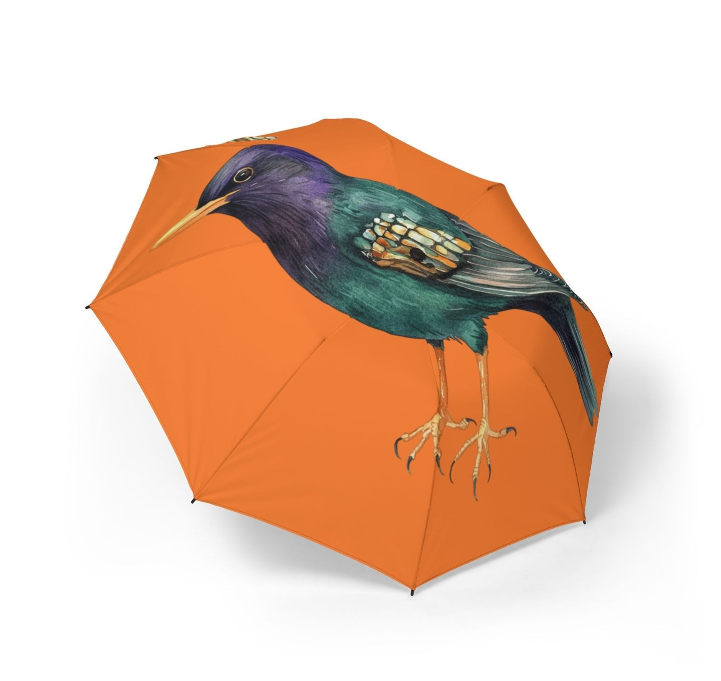Colorful Bird Print Umbrella - Stylish Rain Gear for Bird Lovers, Foldable Umbrella, Gifts for Nature Enthusiasts, Trendy Rain [...]