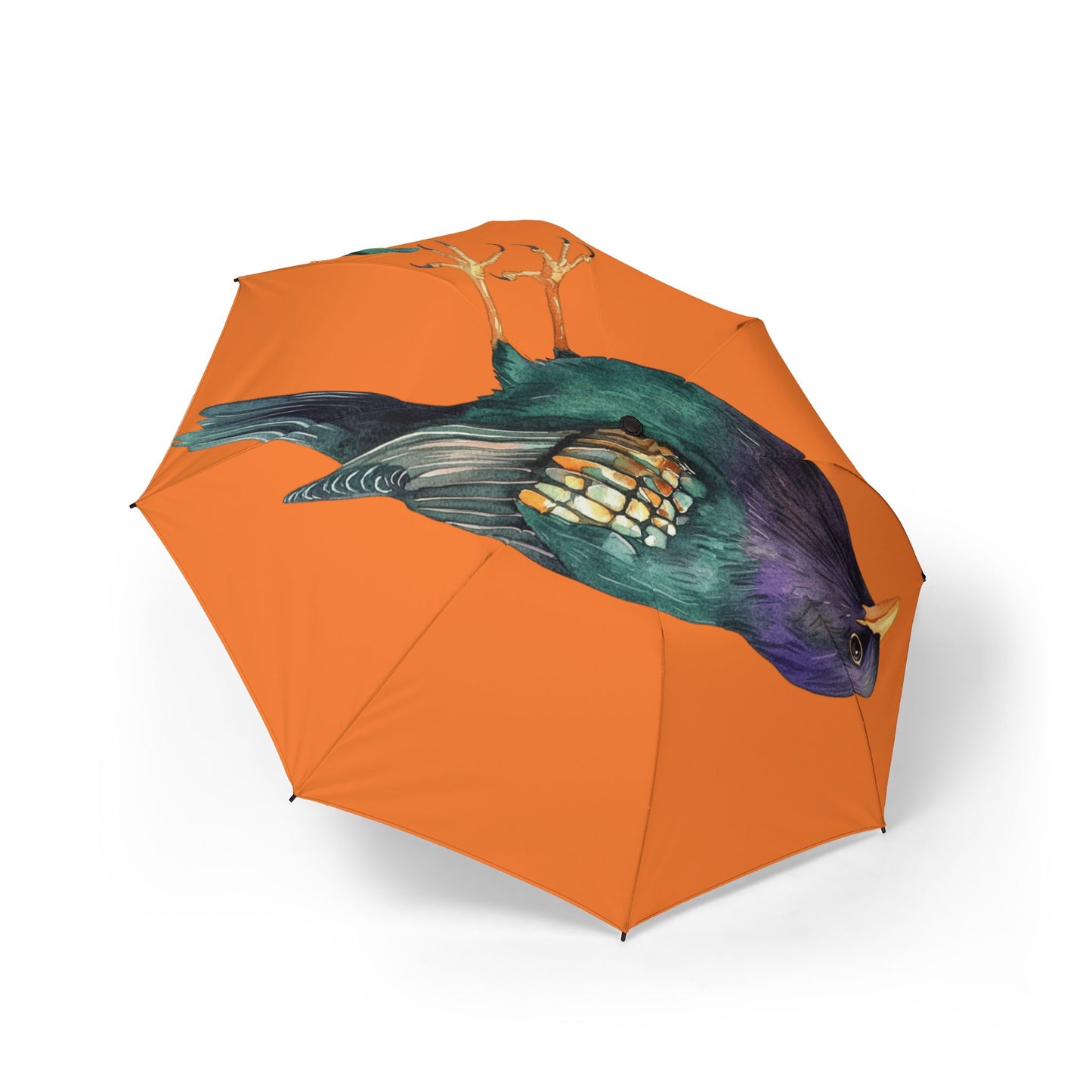 Colorful Bird Print Umbrella - Stylish Rain Gear for Bird Lovers, Foldable Umbrella, Gifts for Nature Enthusiasts, Trendy Rain [...]